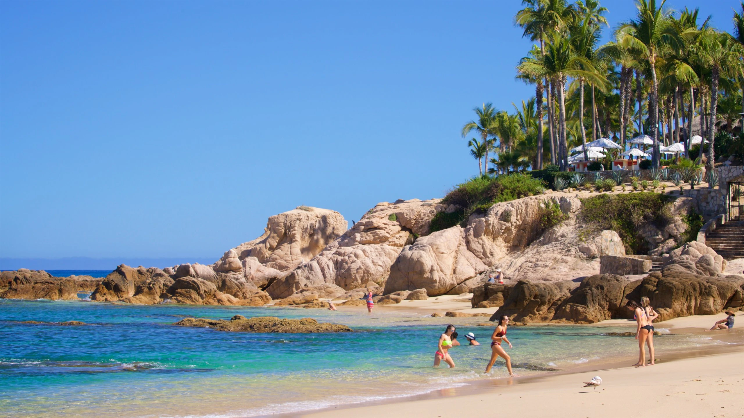 Palmilla Beach